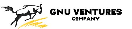 Gnu Ventures Publishing
